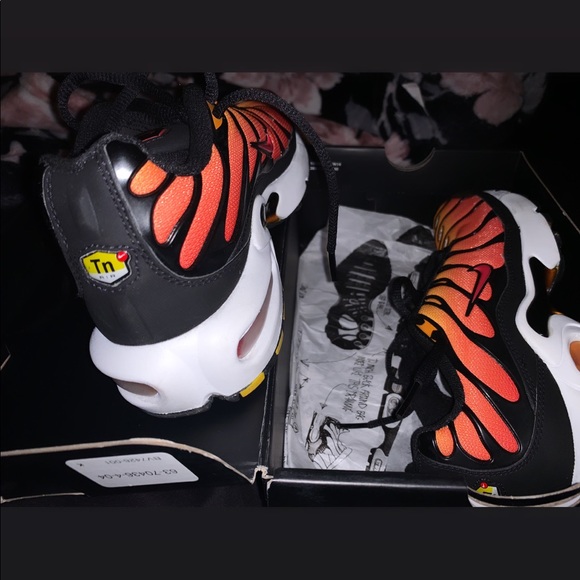 Nike Shoes - Air Max Plus